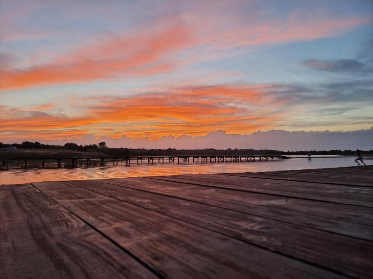 Martina Sun Apartment Zadar Eksteriør bilde