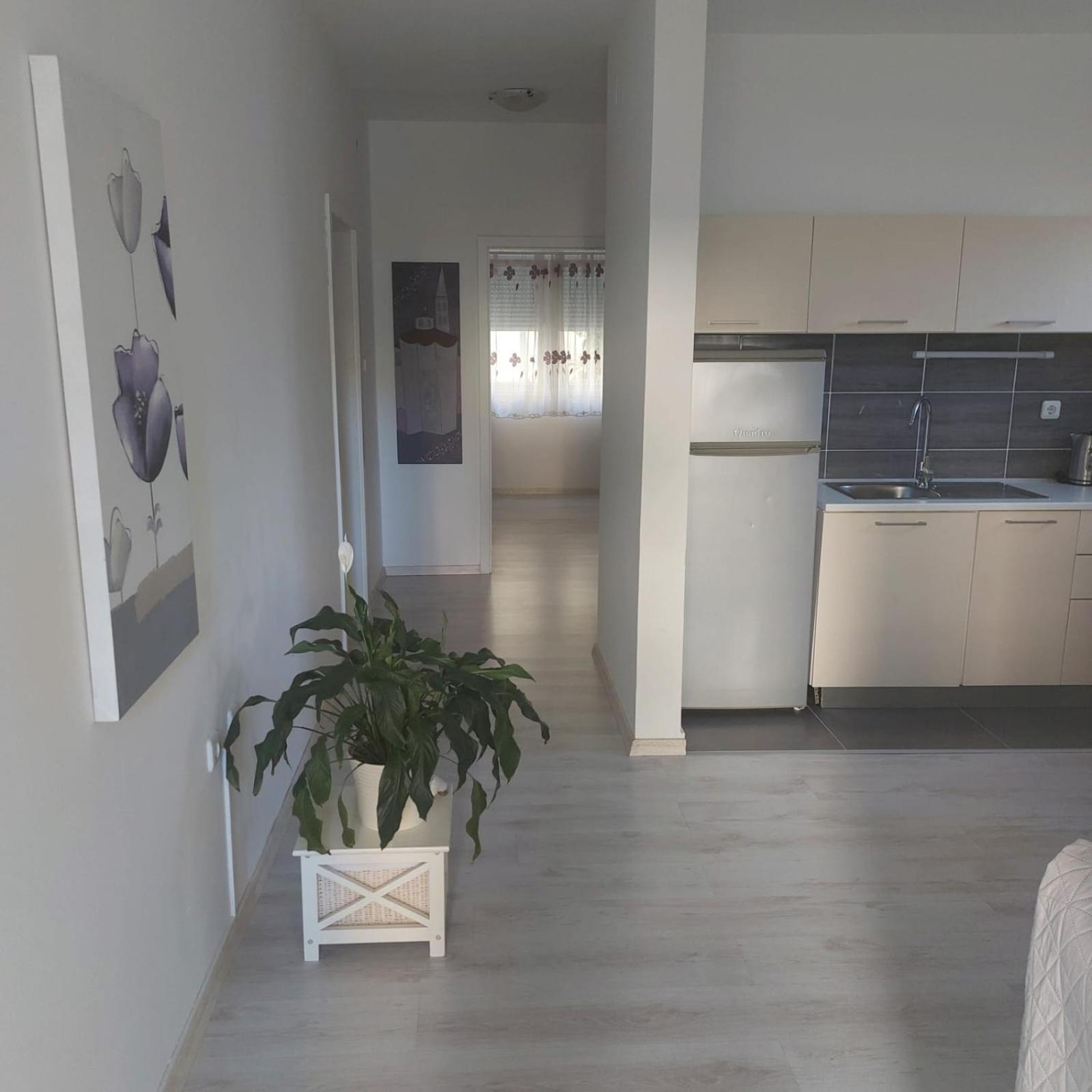 Martina Sun Apartment Zadar Eksteriør bilde